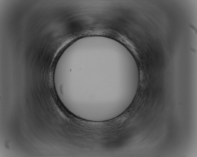 X0000093460012200710120959