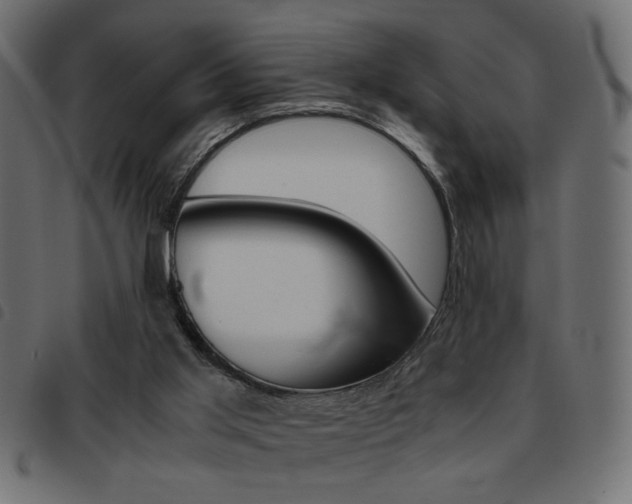X0000093460013200710120959