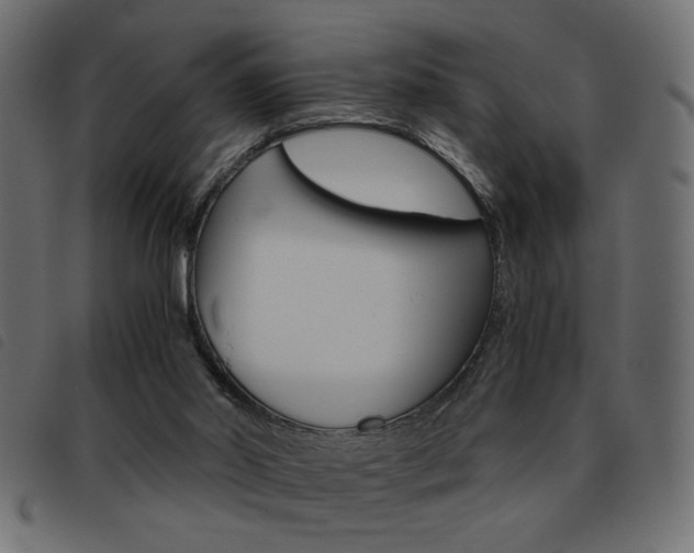 X0000093460014200710120959