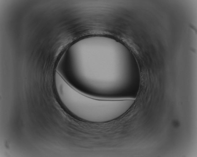 X0000093460015200710120959