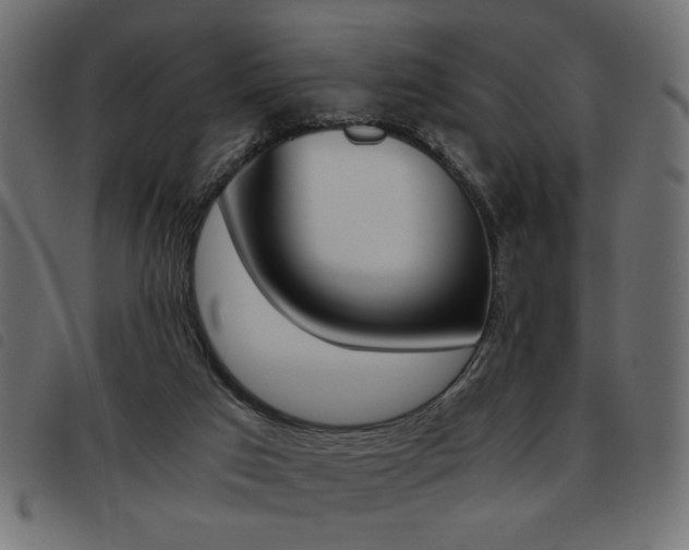 X0000093460017200710120959