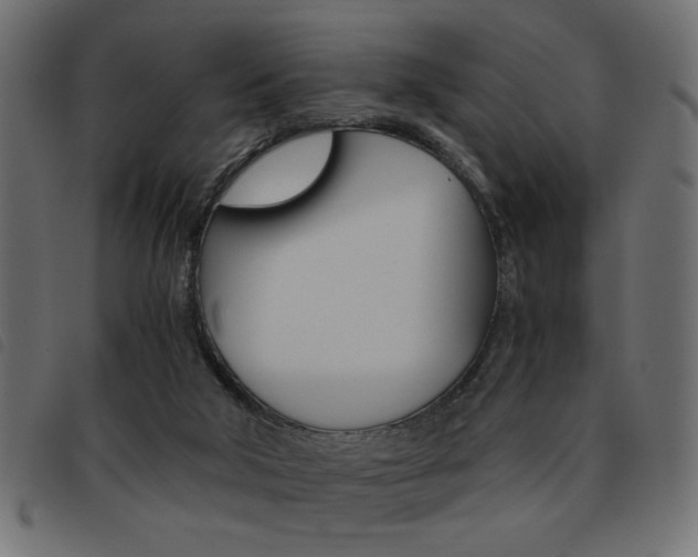 X0000093460018200710120959