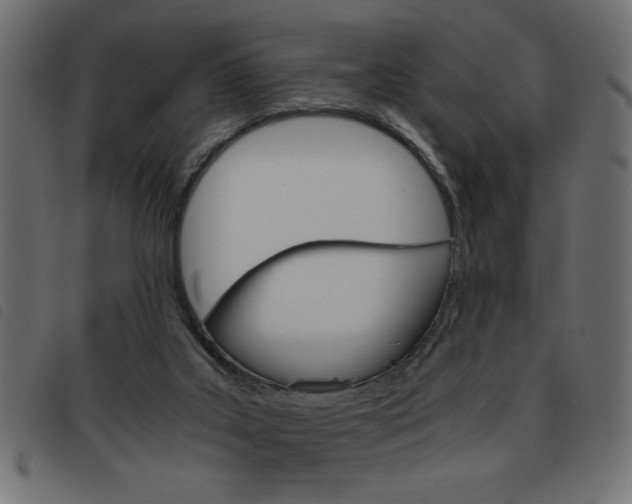X0000093460019200710120959