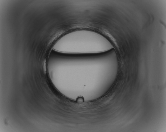 X0000093460020200710120959