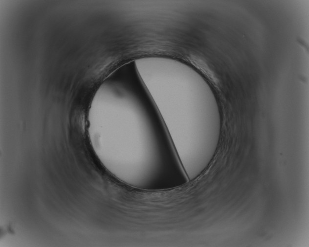 X0000093460021200710120959