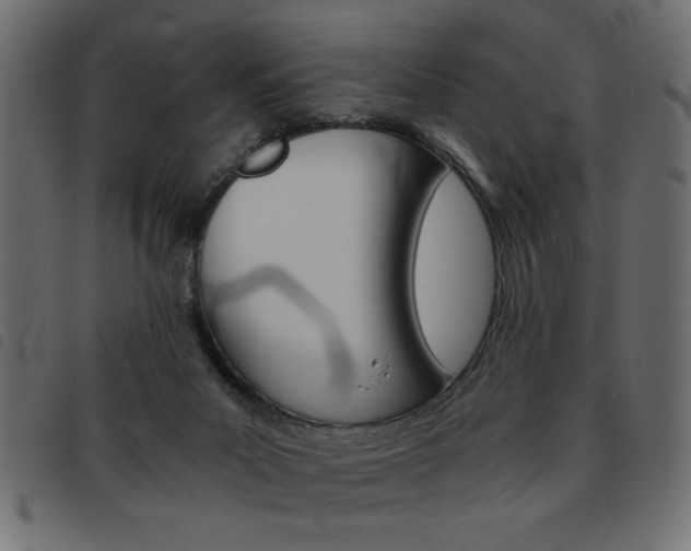 X0000093460023200710120959