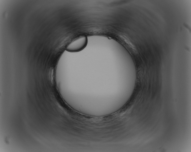 X0000093460024200710120959