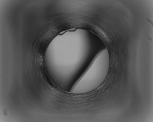 X0000093460025200710120959