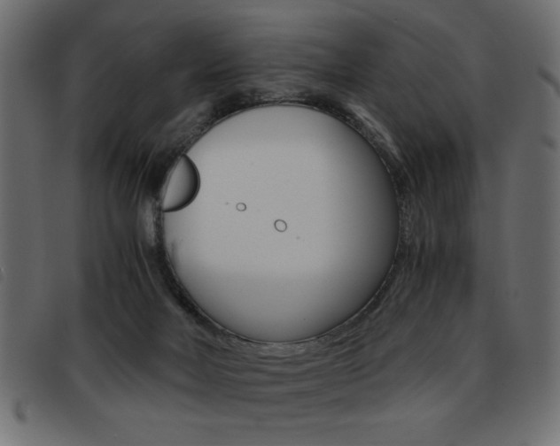 X0000093460026200710120959