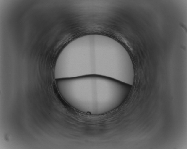 X0000093460027200710120959