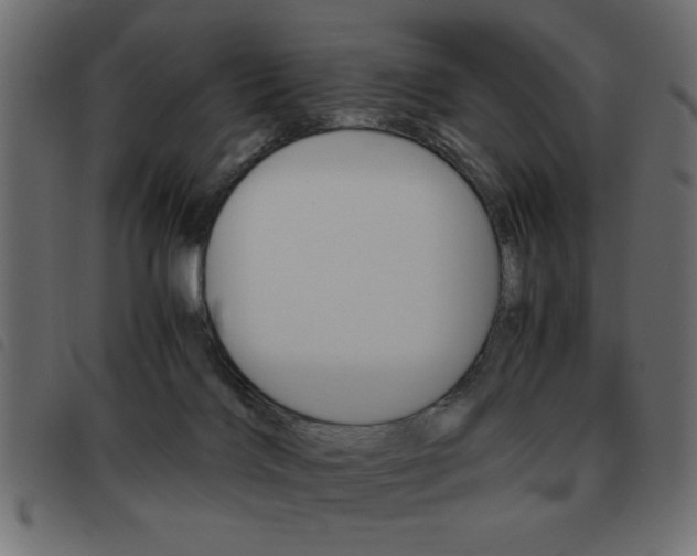 X0000093460028200710120959