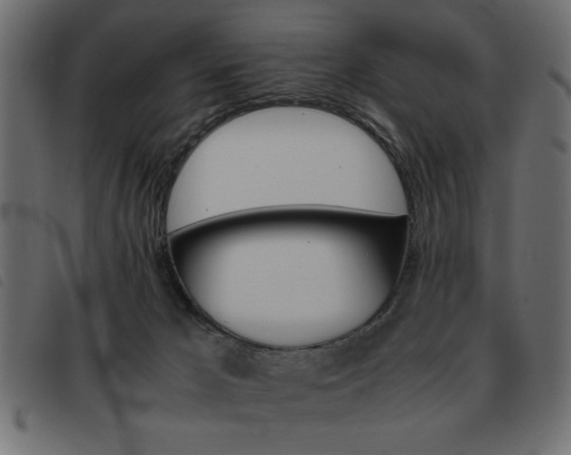 X0000093460029200710120959