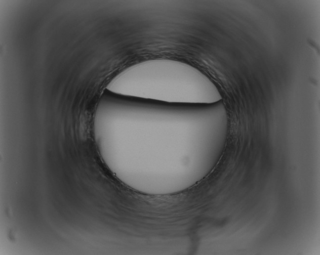 X0000093460030200710120959