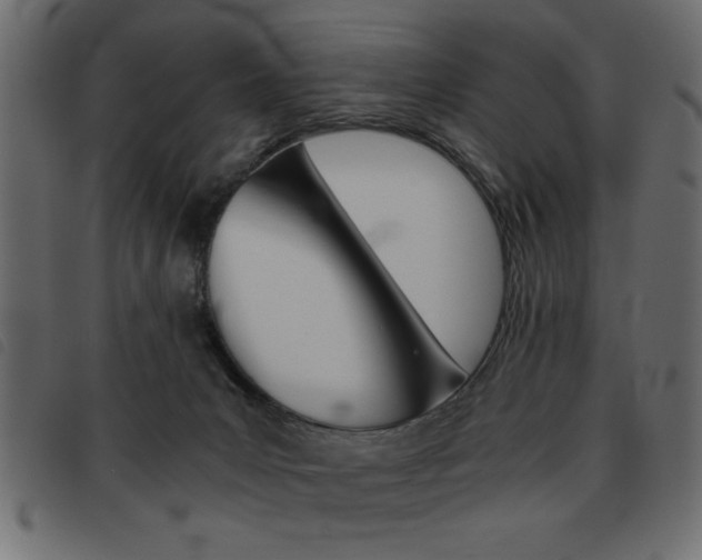 X0000093460031200710120959