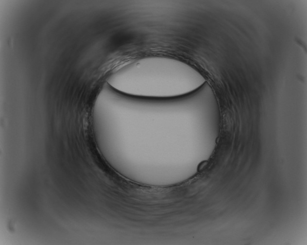X0000093460032200710120959