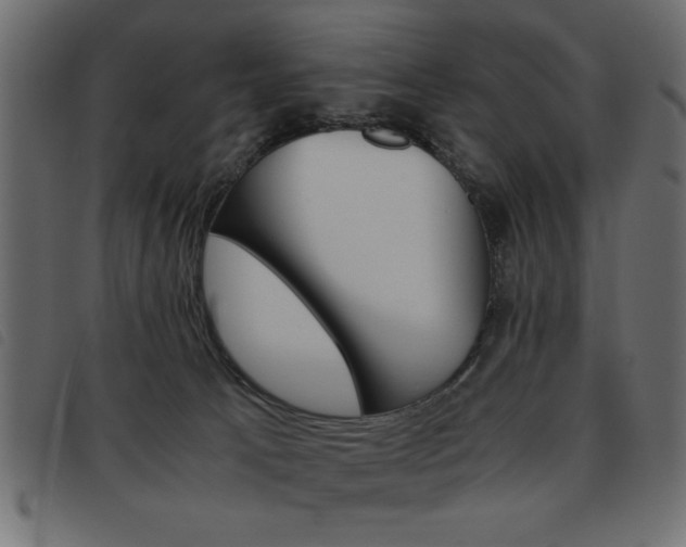 X0000093460033200710120959