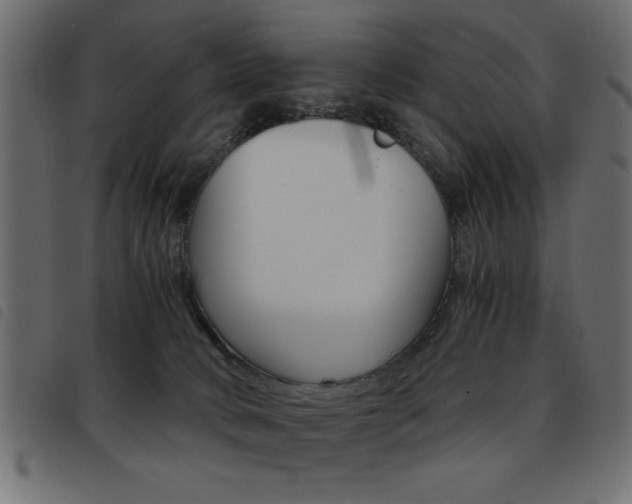 X0000093460034200710120959