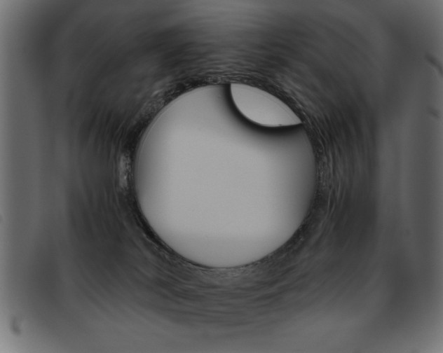 X0000093460038200710120959