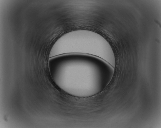 X0000093460039200710120959