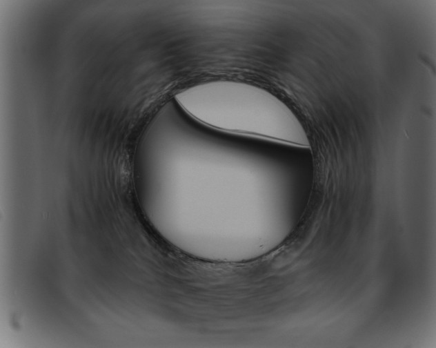 X0000093460040200710120959