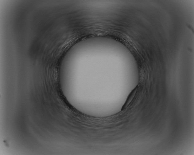 X0000093460043200710120959