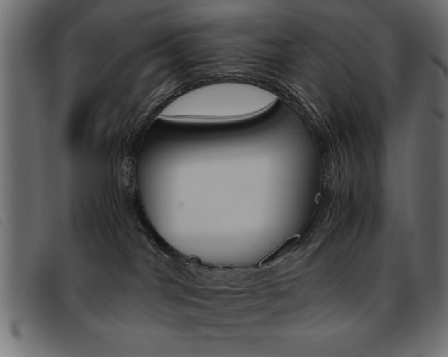 X0000093460044200710120959