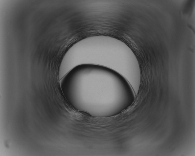 X0000093460045200710120959