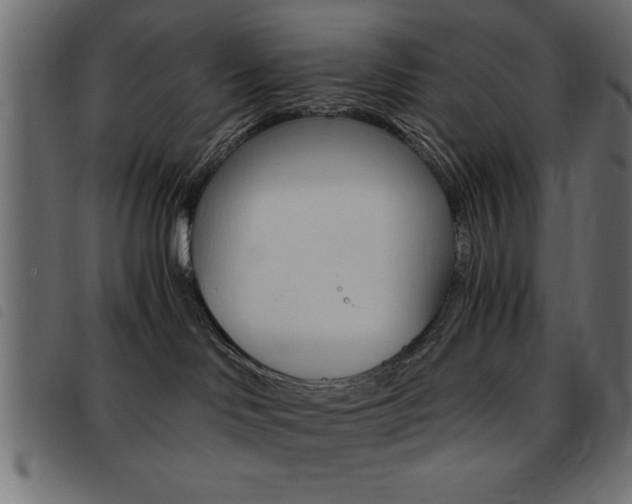 X0000093460046200710120959