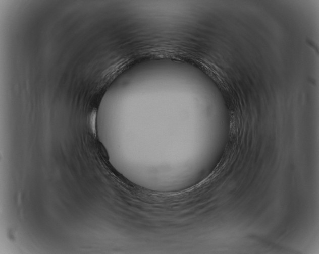 X0000093460047200710120959