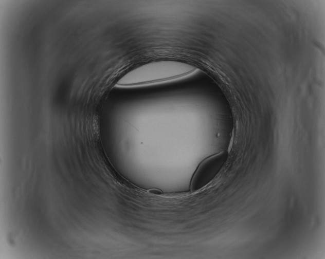 X0000093460048200710120959