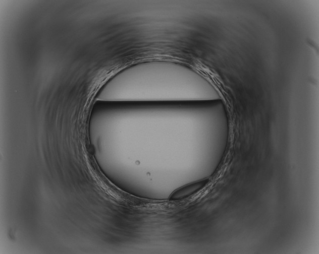 X0000093460049200710120958