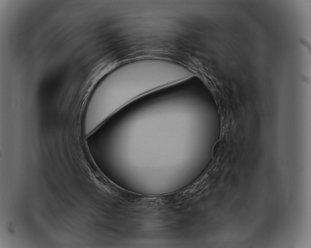 X0000093460050200710120958