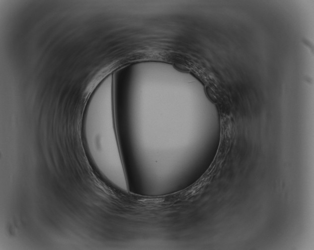 X0000093460051200710120958