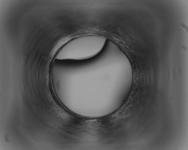 X0000093460054200710120958