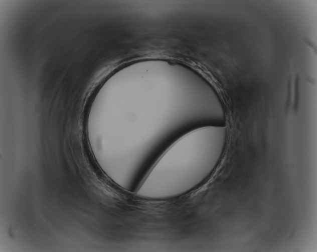 X0000093460055200710120958