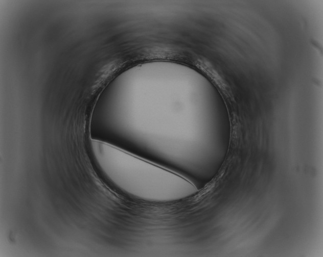 X0000093460058200710120958