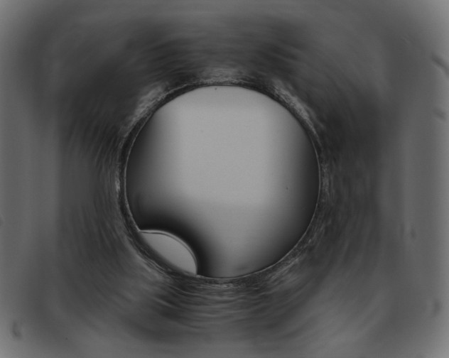 X0000093460059200710120958