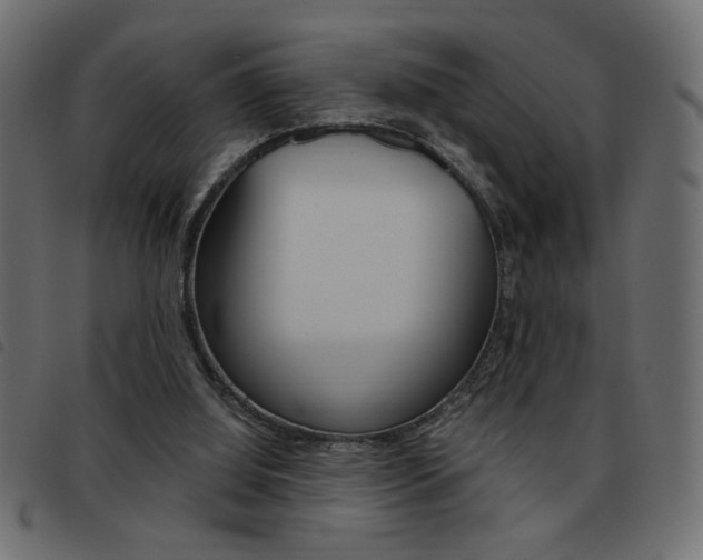 X0000093460060200710120958