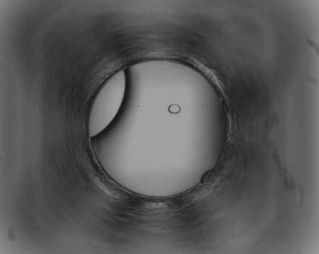 X0000093460061200710120958