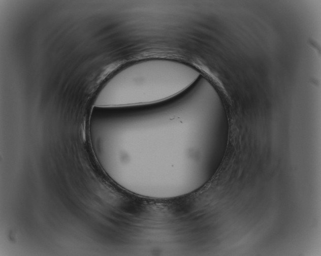 X0000093460062200710120958