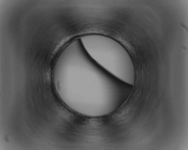 X0000093460064200710120958
