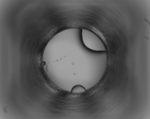 X0000093460065200710120958