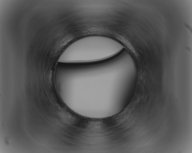 X0000093460066200710120958
