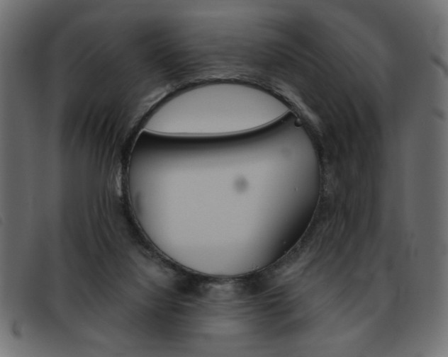 X0000093460068200710120958