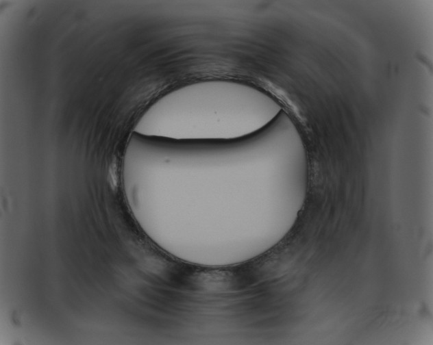 X0000093460069200710120958