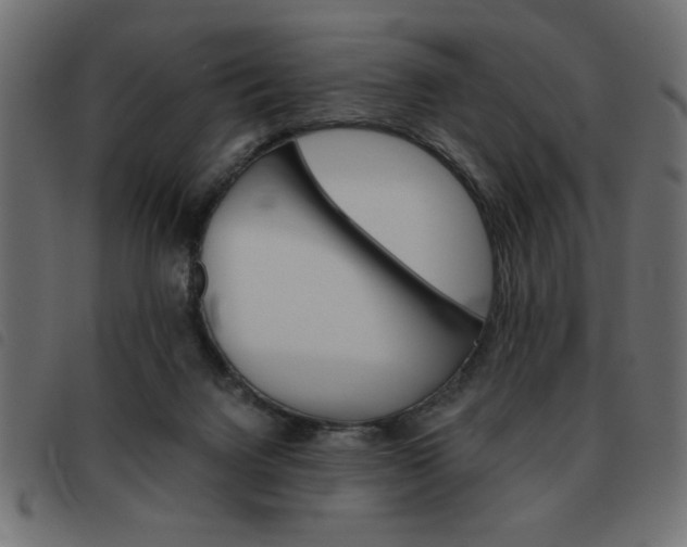 X0000093460072200710120958