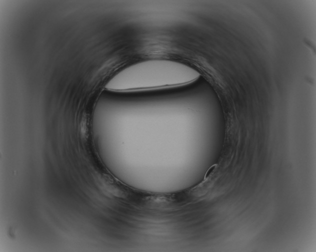 X0000093460074200710120958