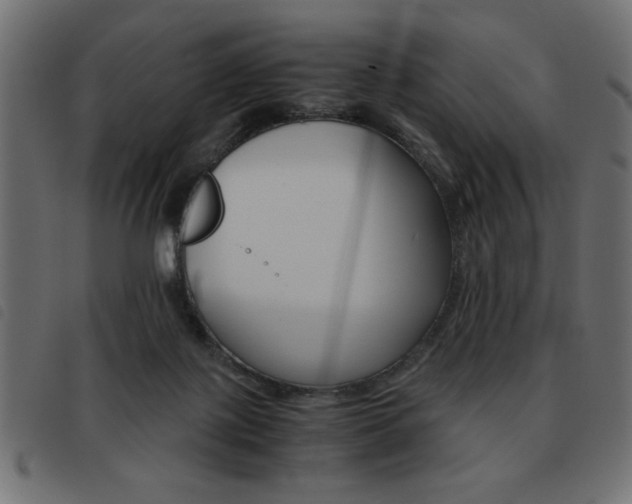 X0000093460075200710120958