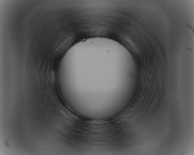 X0000093460077200710120958