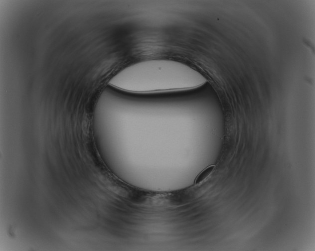 X0000093460078200710120959